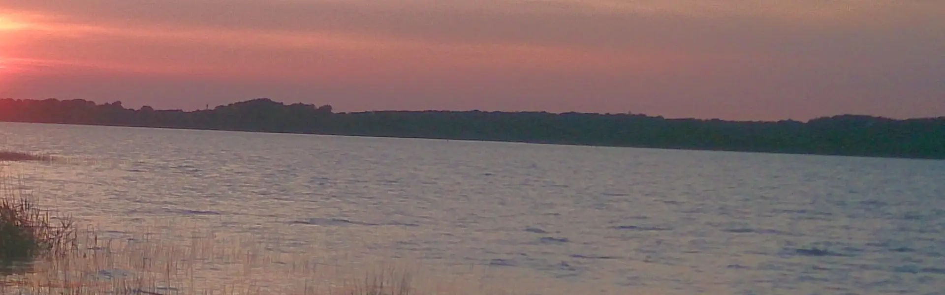 Header Background