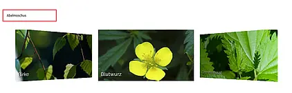 The medicinal plant encyclopedia from Apotheken.de as a Wordpress plugin