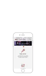 TYPO3-Seite einer Schweizer Gesangsschule - mobile Version